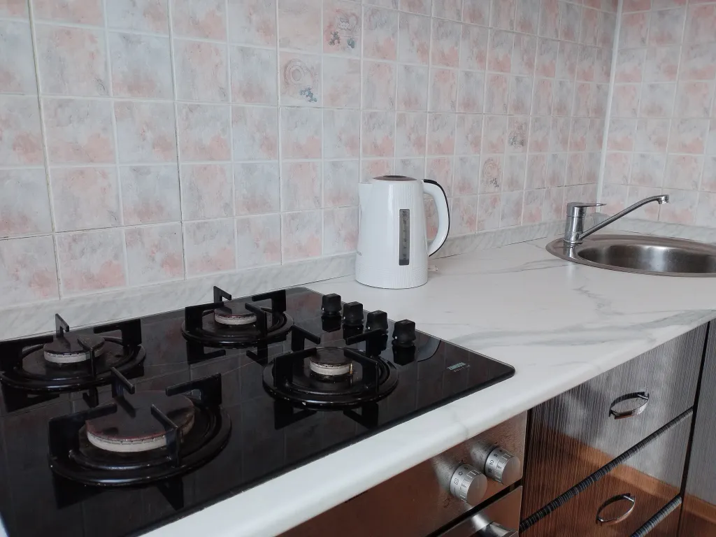 Квартира в центре Предмостной