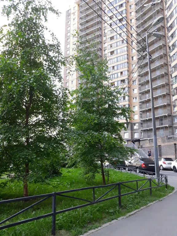 Видовая солнечная студия