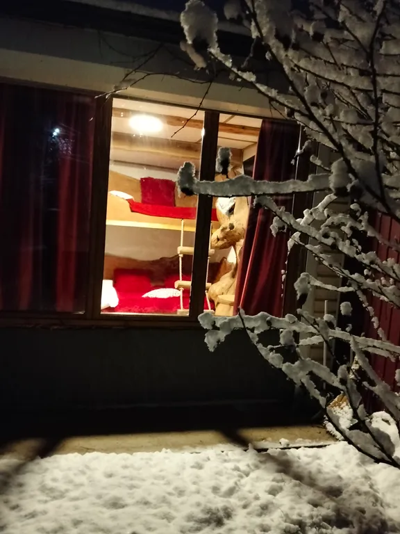 Коттедж Коттедж Гостевой комплекс Лесной ковчег — Псебай