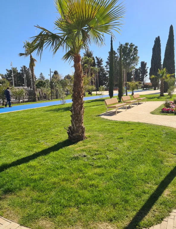 Квартира 1-комнатная Квартира — Сириус