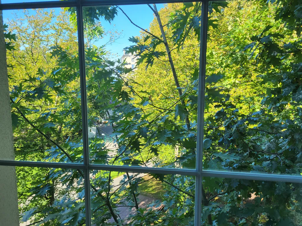 Baltic Resort двухкомнатная квартира в центре Пионерского у моря