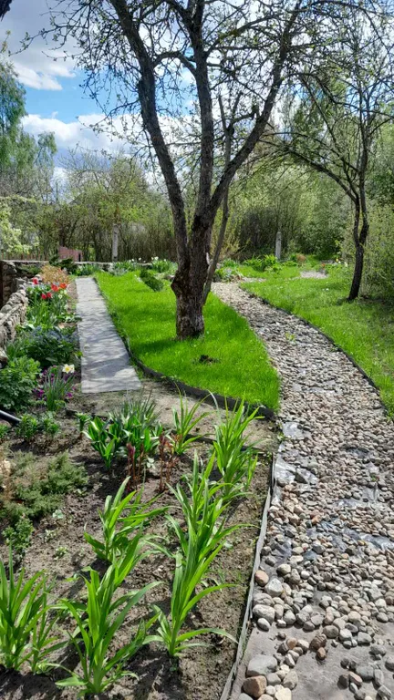 Домик у дуба