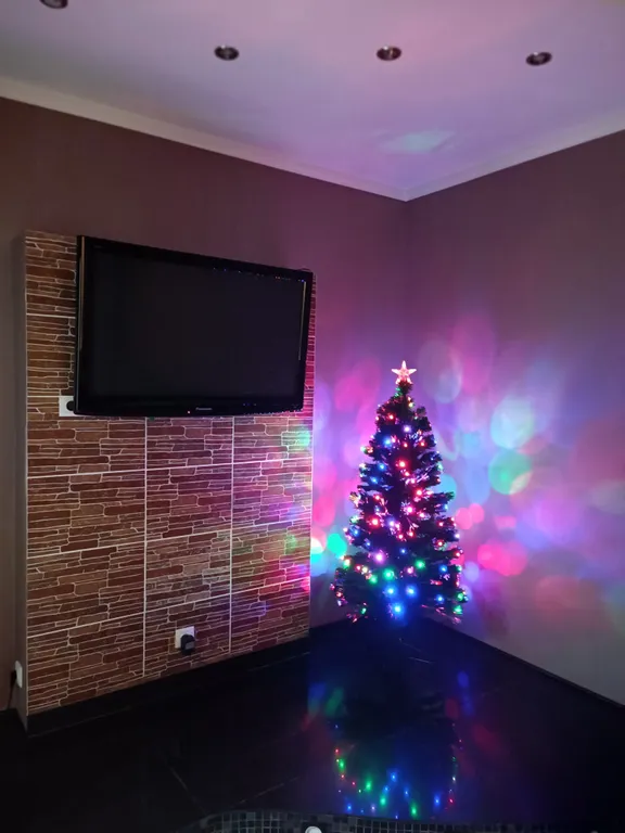 Квартира с видом на горнолыжный склон