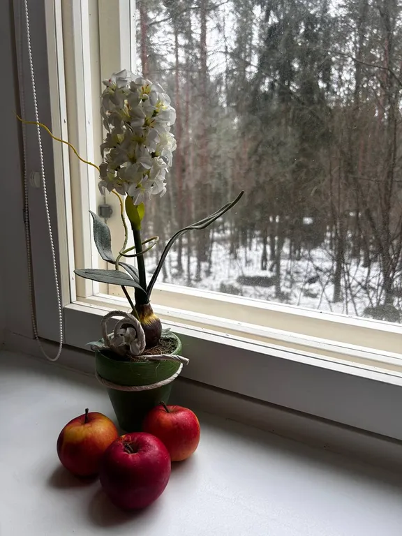 Уютная квартира со всеми удобствами