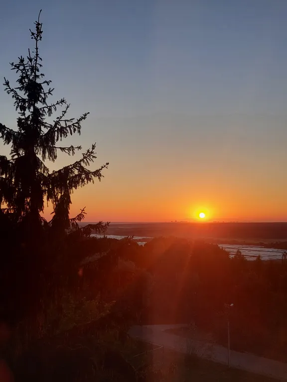 Квартира Лаванда