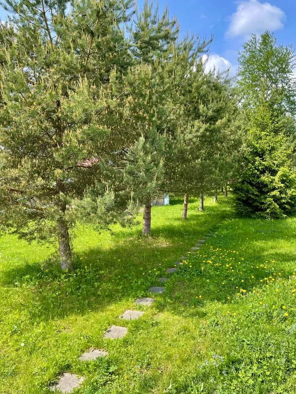 Дом на берегу реки Волга