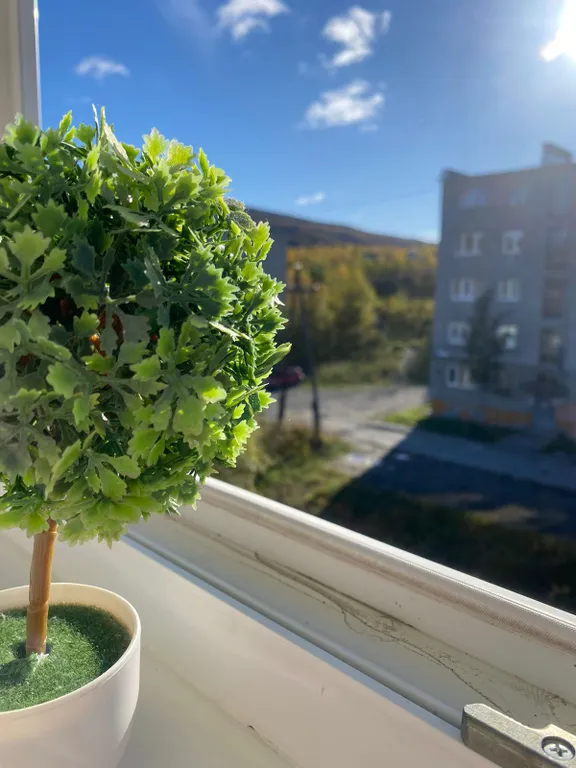 Уютная студия для двоих