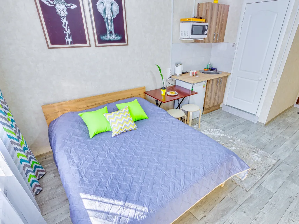 По-домашнему уютная двухместная студия на Толе би — Весновка