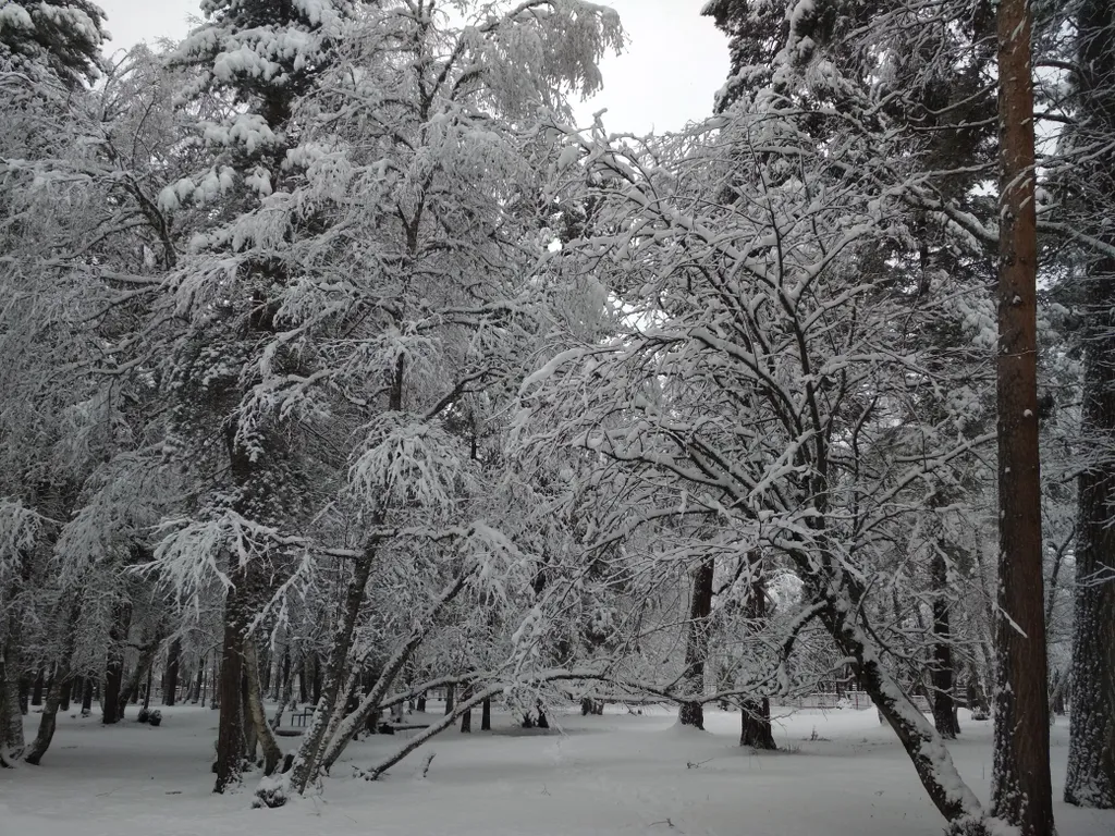 База отдыха Архыз Форест Эко