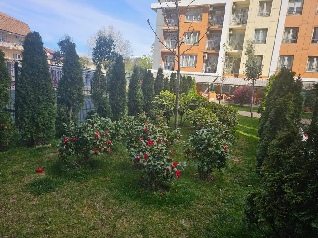 Уютная студия у моря