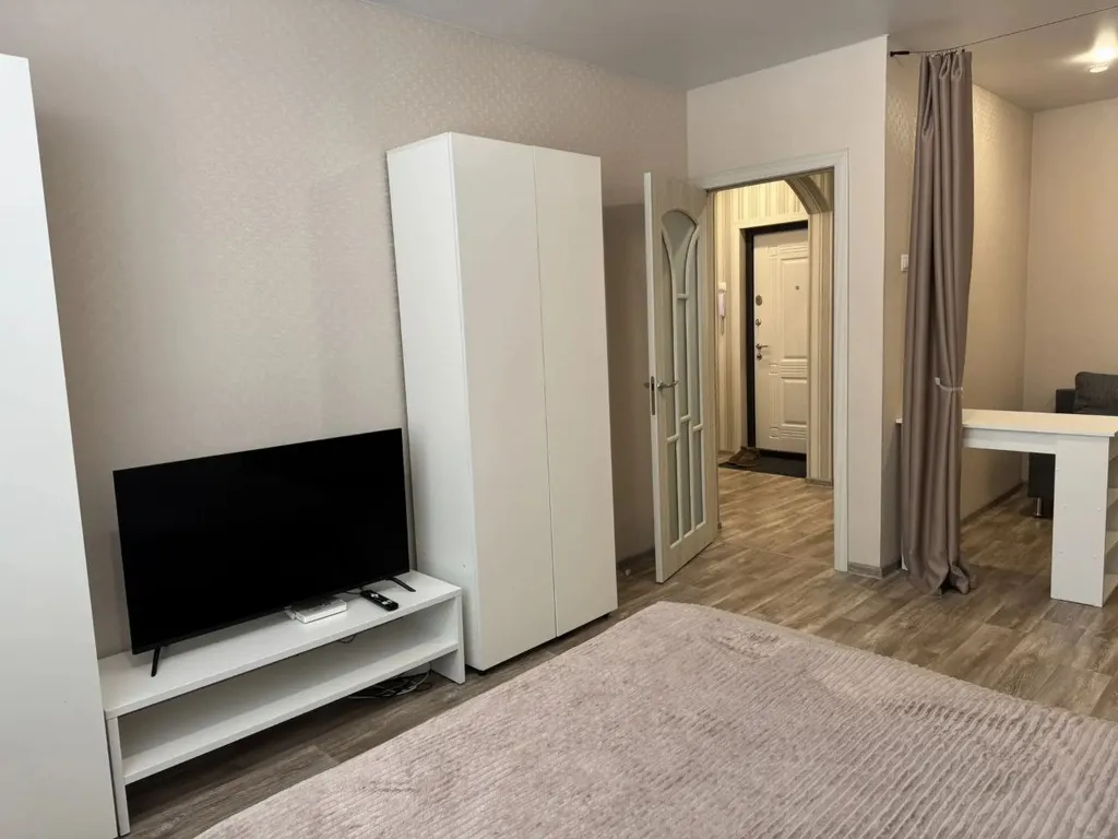 Просторная однокомнатная квартира