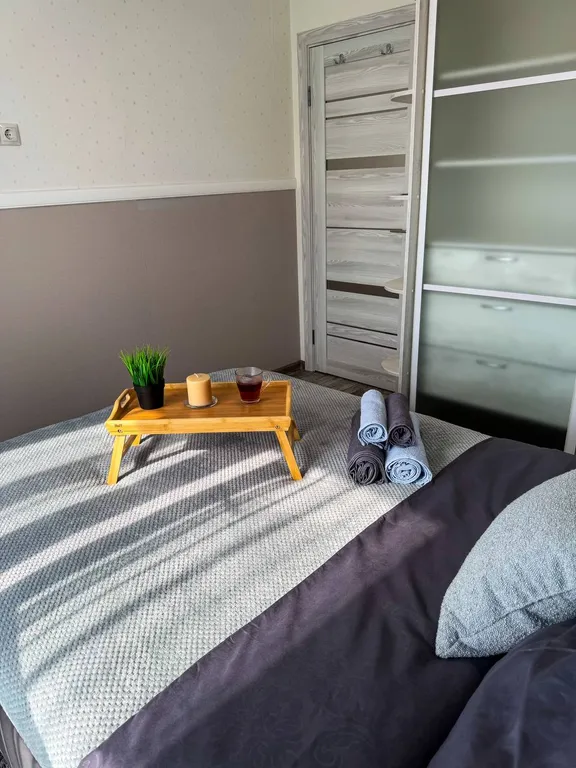 Квартира Уютная 2- комнатная квартира — Красноярск