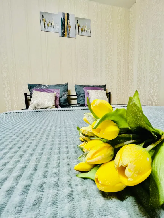 Уютная квартира — аренда посуточно в Рязань