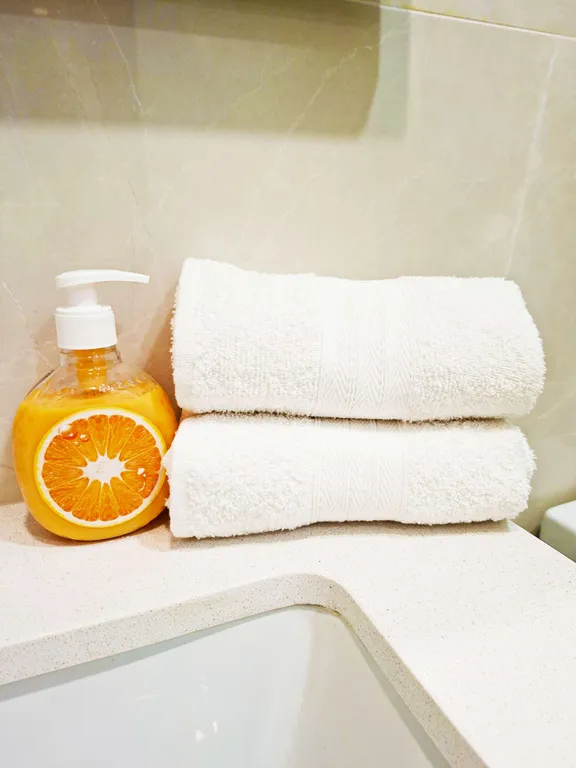 Просторная трехкомнатная квартира в центре Тбилиси с видом на рекуКуру