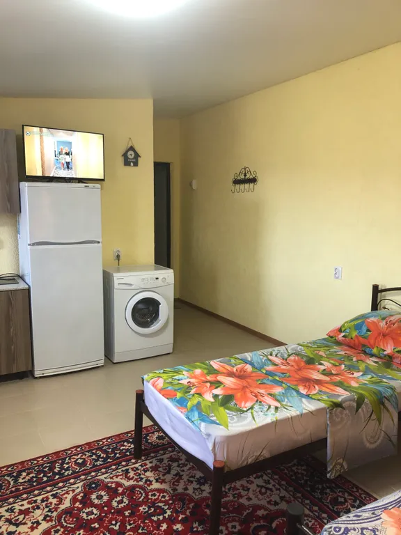 Квартира-студия с кухней и со своей ванной комнатой