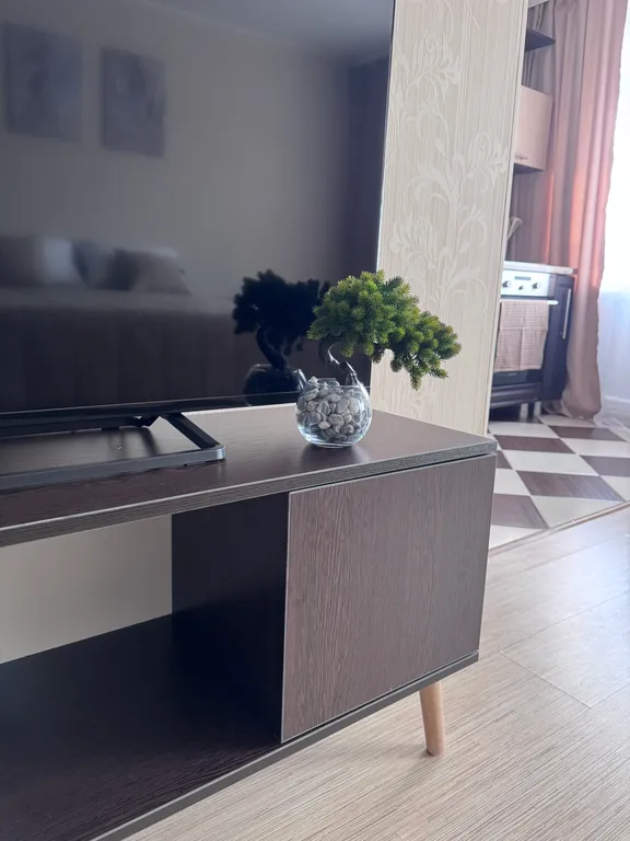 Уютная студия в центре города