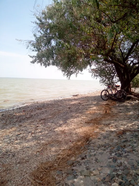 Прекрасное место для отдыха