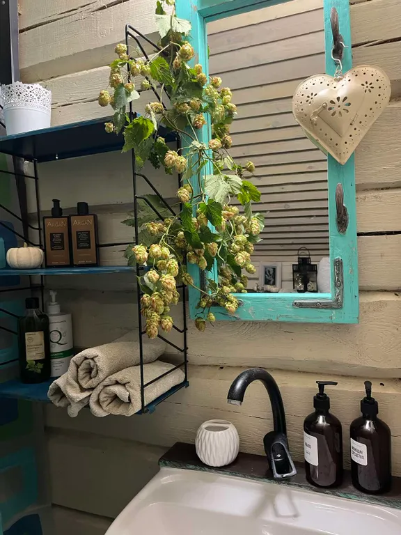 Усадьба со всеми удобствами