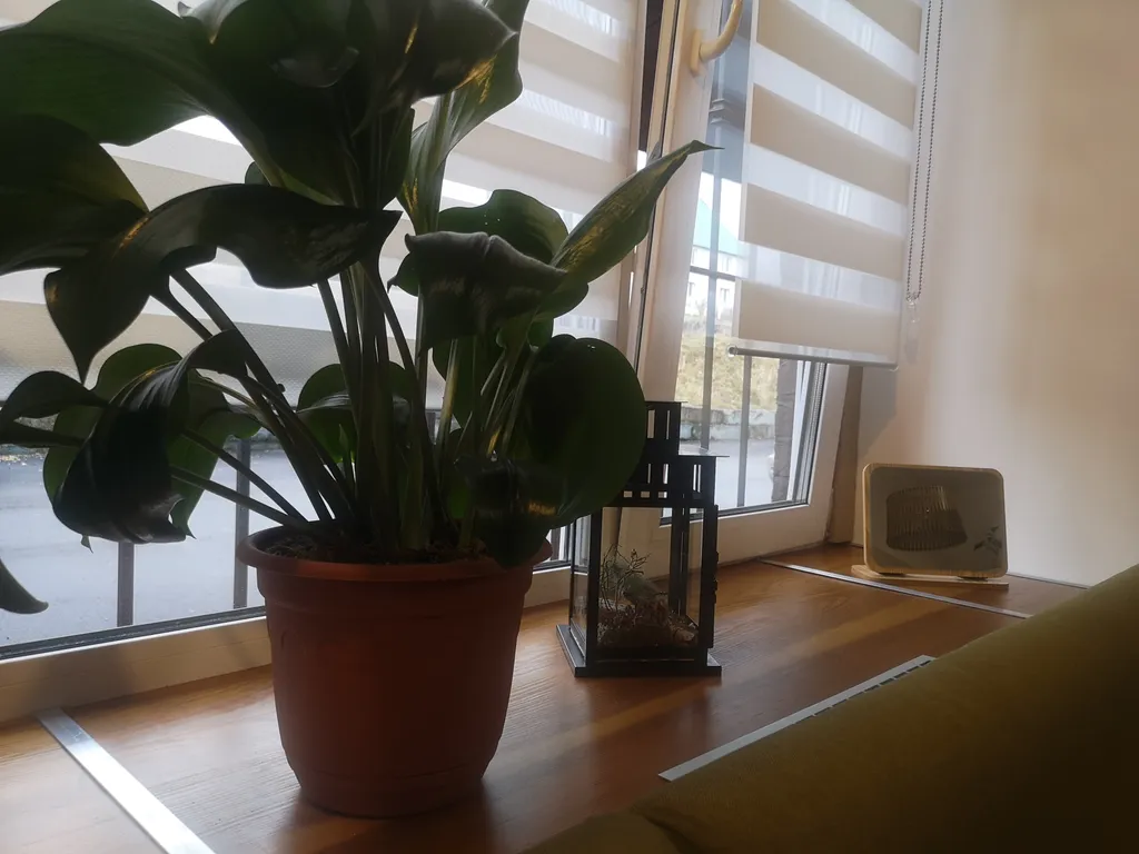 Уютные и тёплые апартаменты-студия