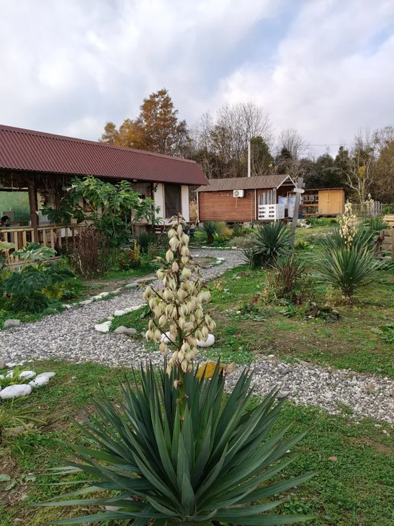 Юрта на берегу черного моря