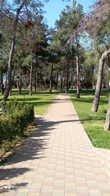 Уютная студия с видом на море