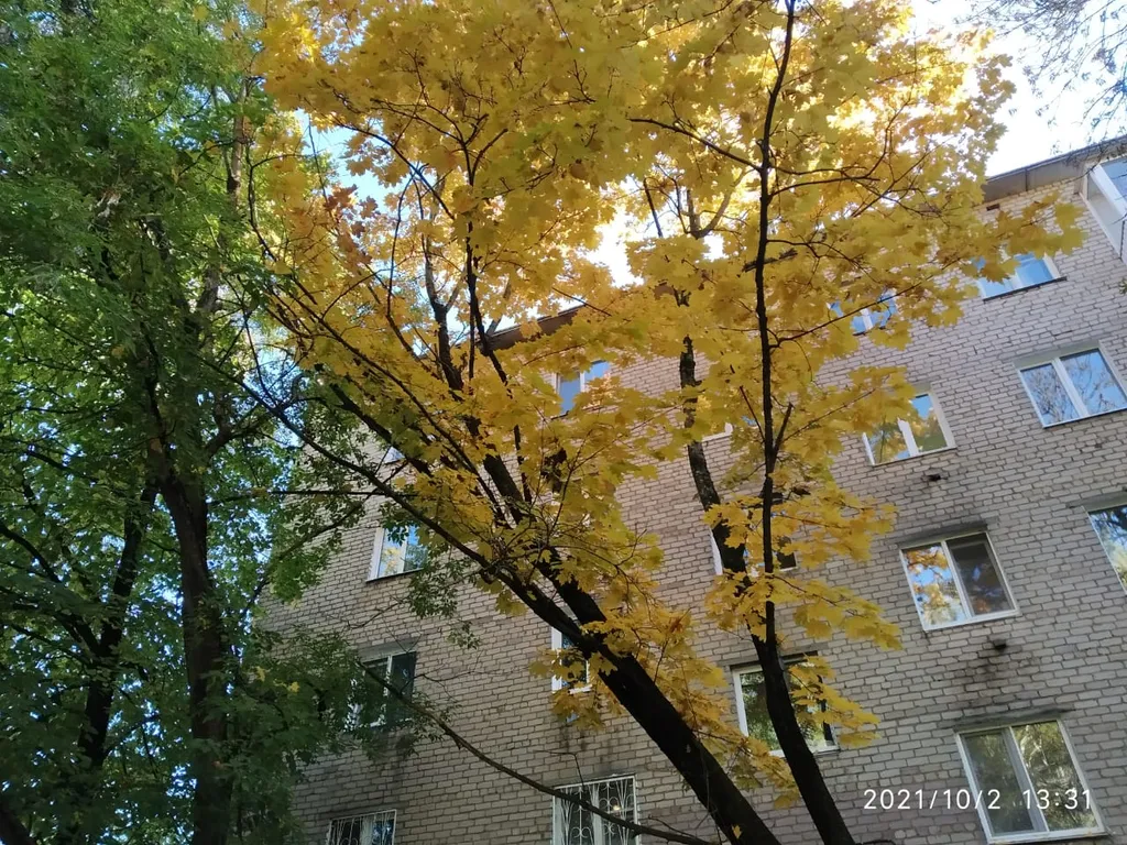 Квартира в центре Три дороги