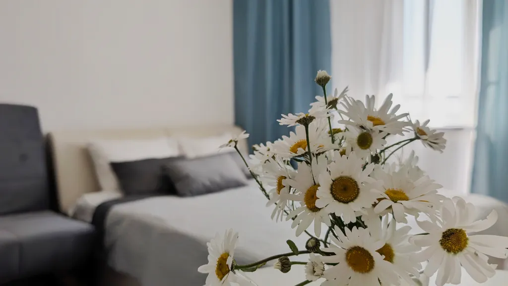 Солнечная студия во всеволожске, панорамный вид, smart tv