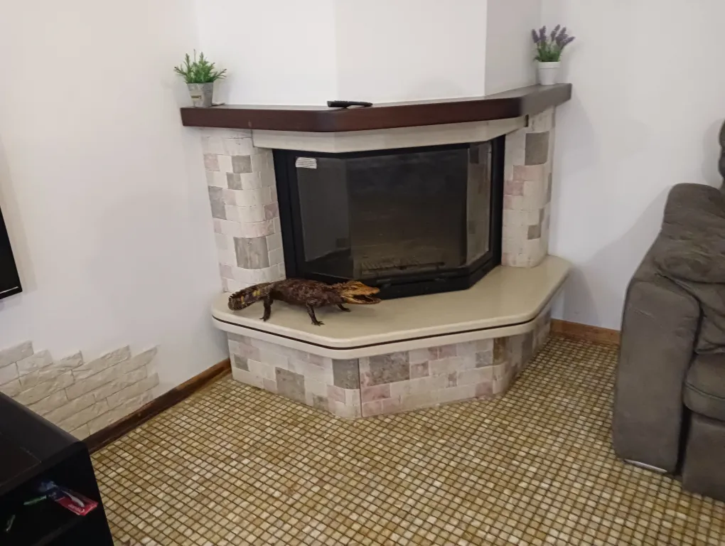 4-комнатный Дом