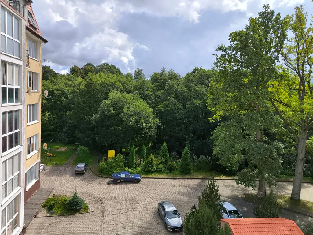 Квартира Квартира для отдыха — Светлогорск