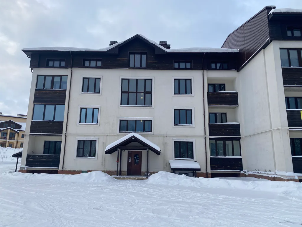 Уютная квартира у горнолыжного курорта Сорочаны