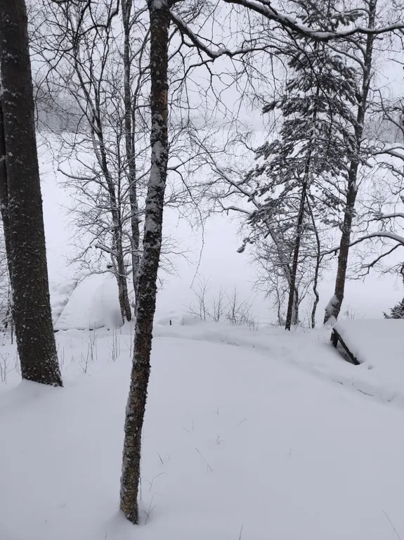 Уютный домик