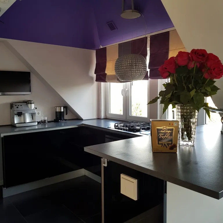 Дизайнерская квартира с видом на Верхнее озеро, камин, зона барбекю