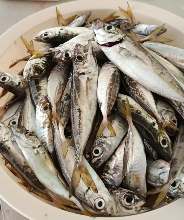 Двухкомнатные апартаменты на берегу моря