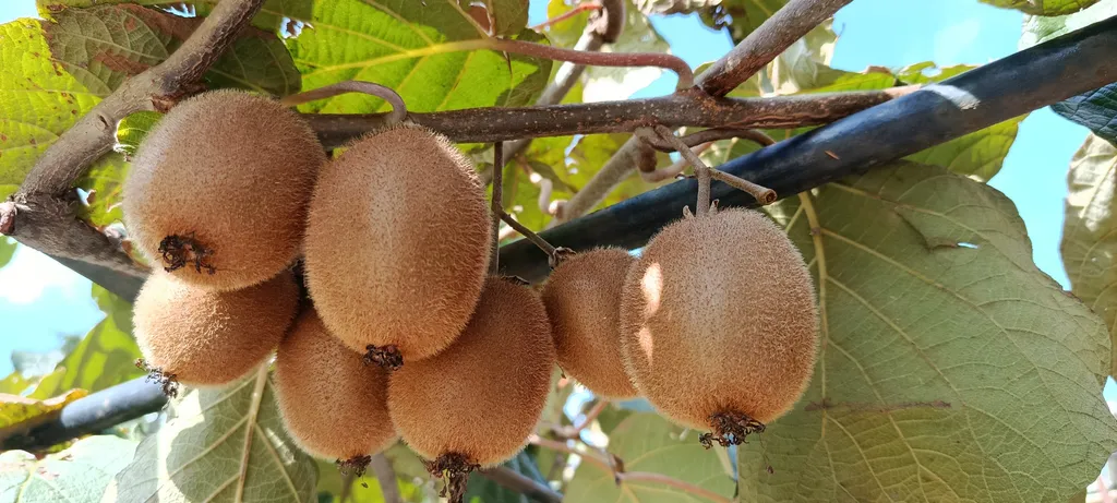 Двухкомнатные апартаменты на берегу моря