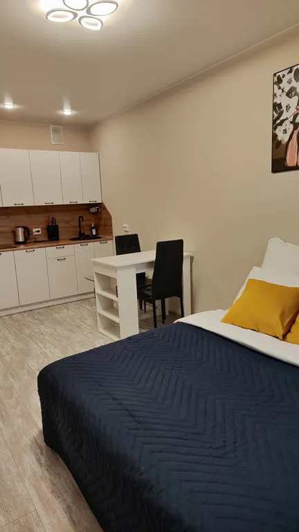 Уютная студия у метро Парнас