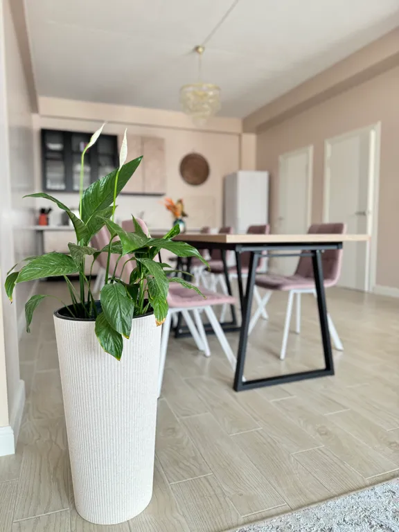 Дом на берегу Каспийского моря