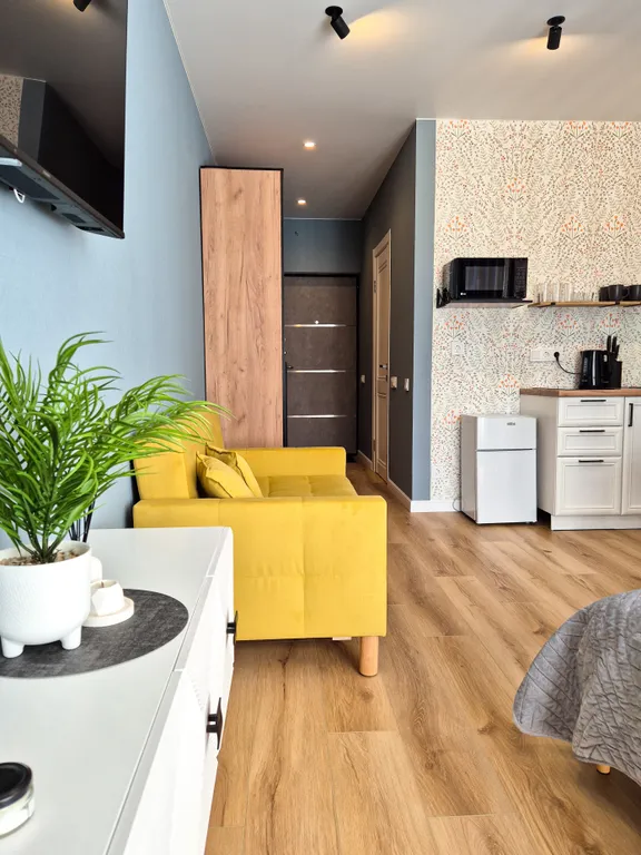 Комфортная и просторная студия