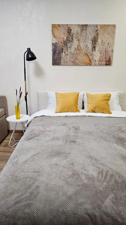 Апартаменты-студия у Ледового Дворца