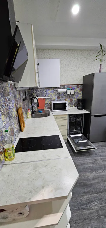 Квартира 1-комнатная Квартира — Сириус