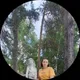 Тамара