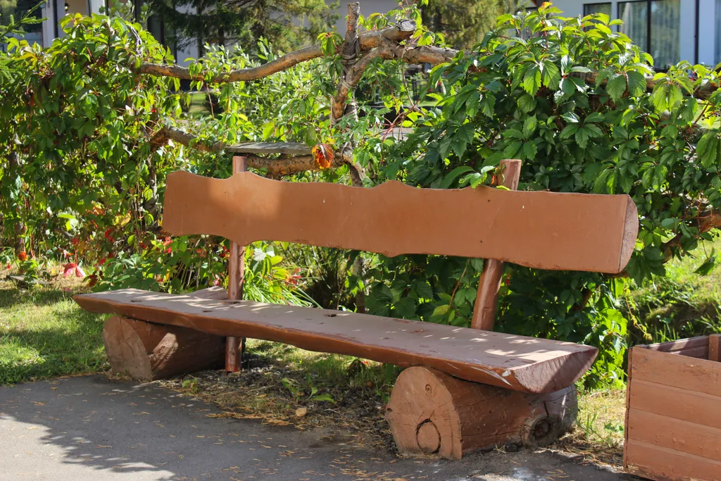 Шале в лесу