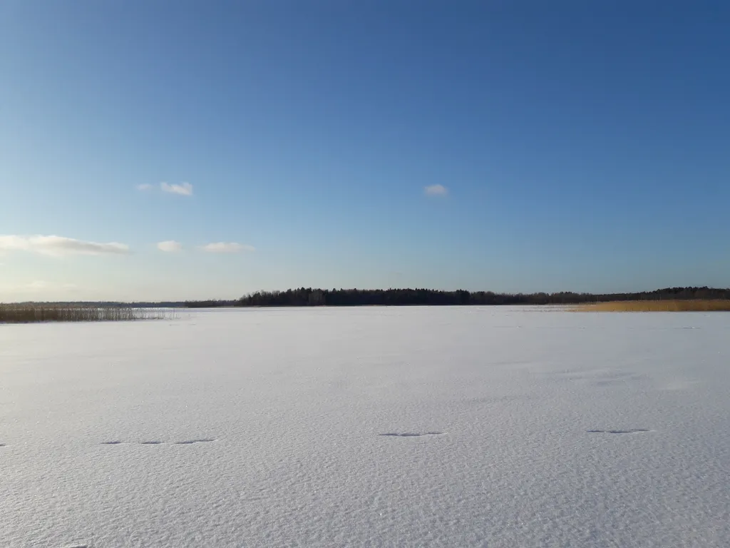 Коттедж Просторный коттедж на Судаковском озере — Ларионово