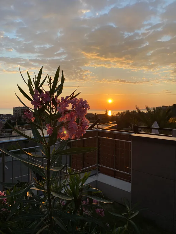 Квартира Квартира Стильная студия — Адлер