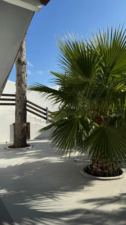 Gide villa посреди леса с видом на море