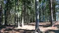 Спортивный Комплекс Курган в шаговой доступности