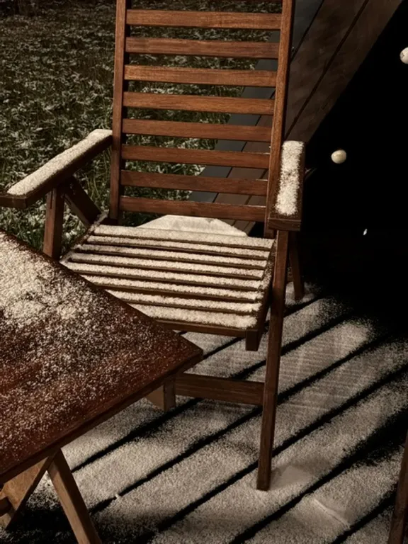 Дом с видом на лес