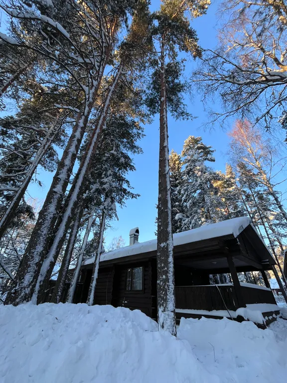 Домик с баней, солярием и джакузи