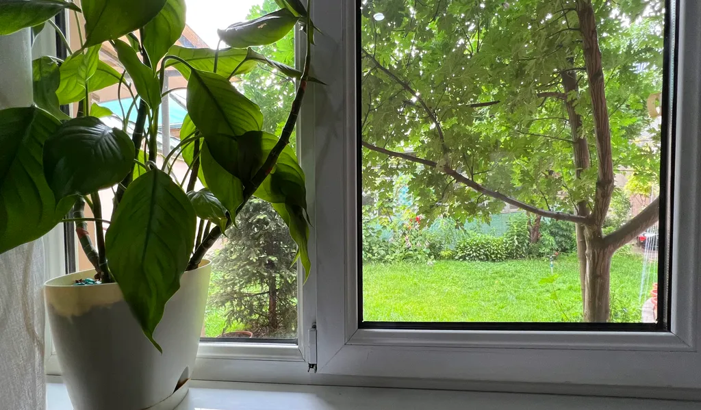 Уютный гостевой дом