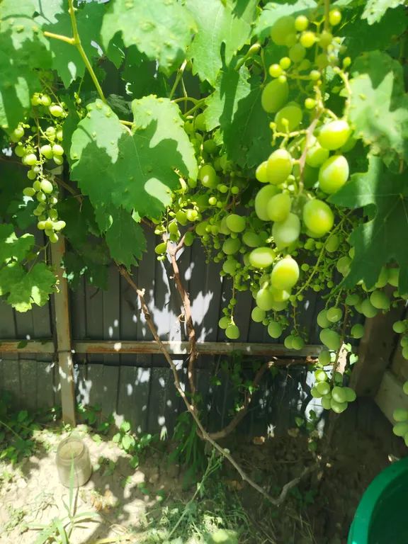 Дом с бассейном