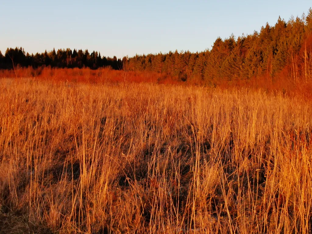 Коттедж Дом в Карелии с элементами карельского интерьера — Видлица